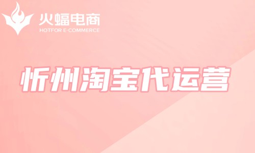 忻州淘寶代運(yùn)營(yíng) 忻州淘寶代運(yùn)營(yíng)