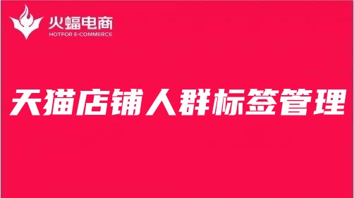 景德鎮(zhèn)天貓代運(yùn)營