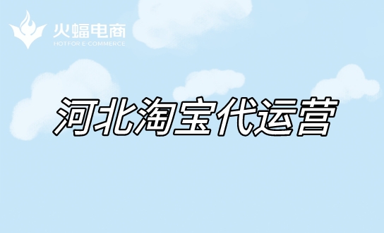 何北淘寶代運營